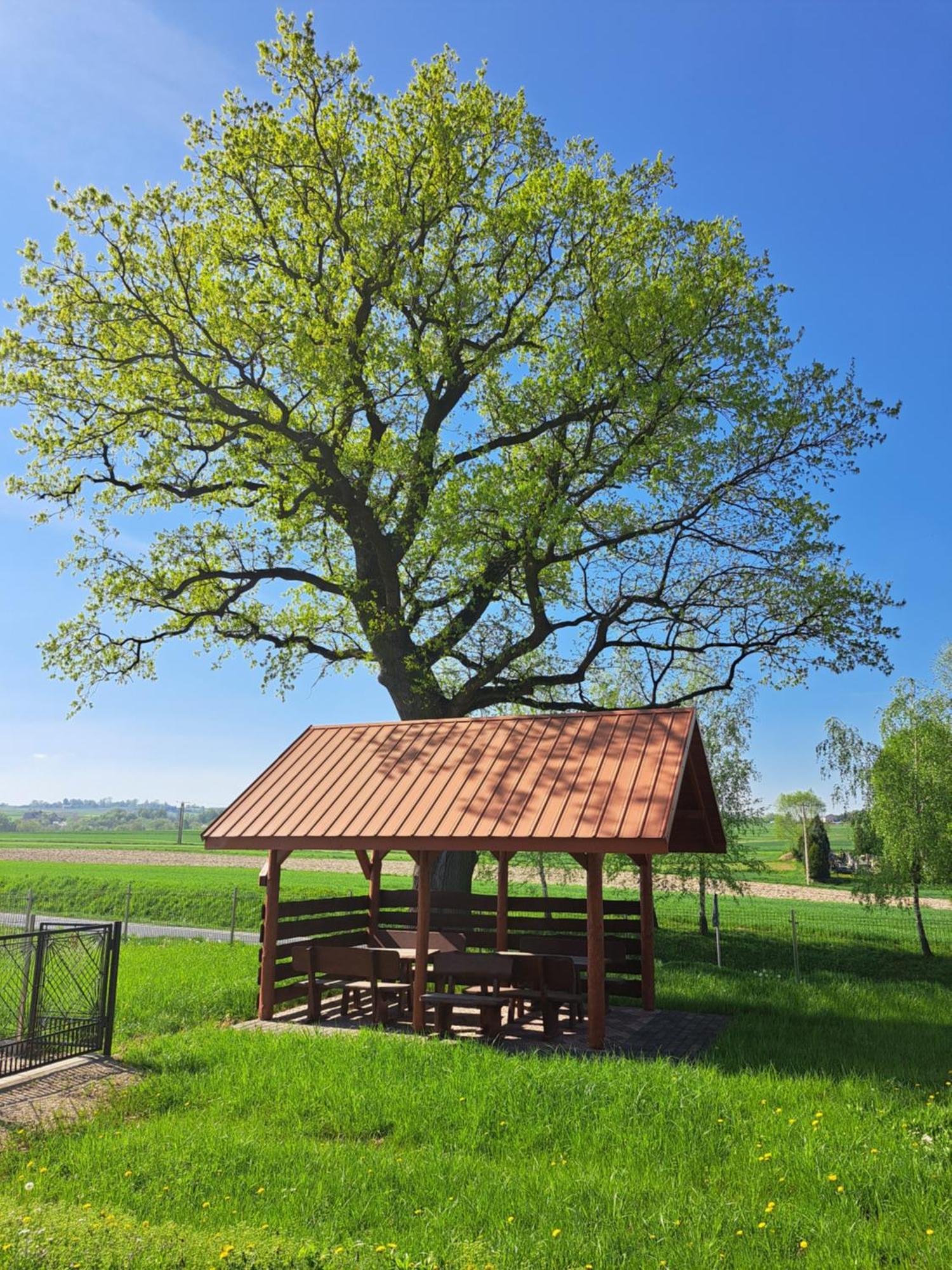Pokoje Izabela - Noclegi Graboszyce - Zator Exteriér fotografie